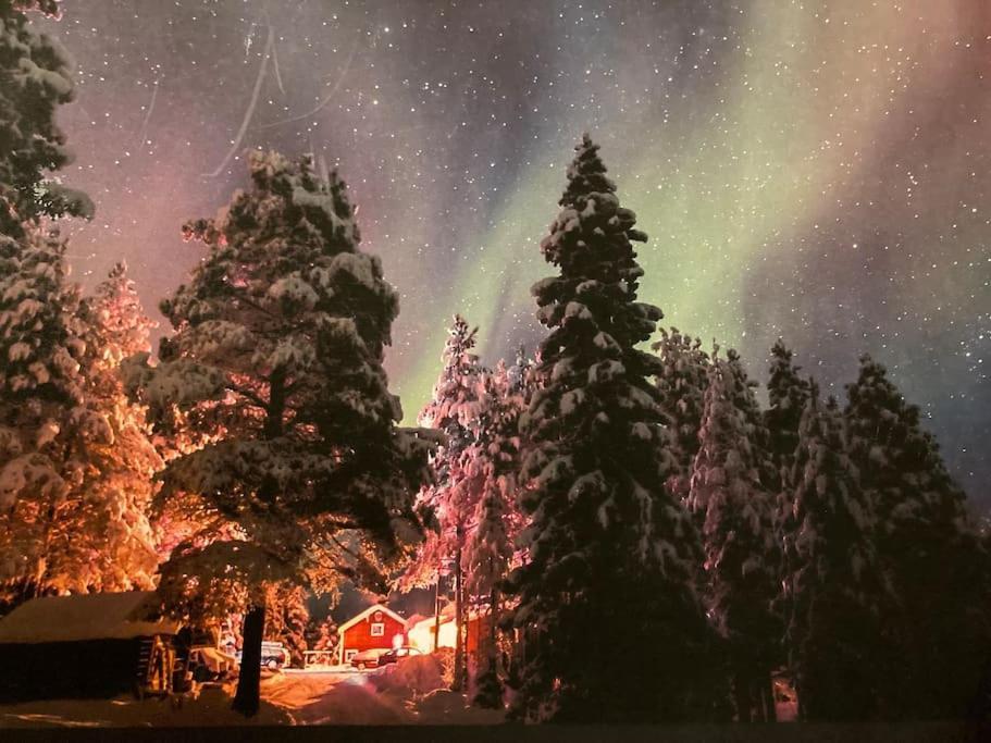 Lakeside Wilderness Cabin Jokkmokk Exterior foto