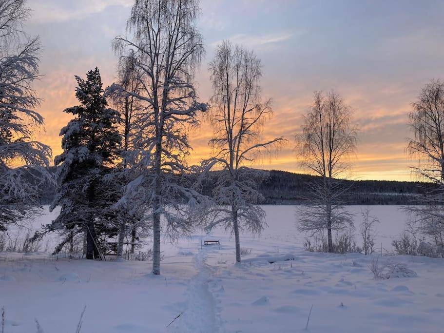 Lakeside Wilderness Cabin Jokkmokk Exterior foto